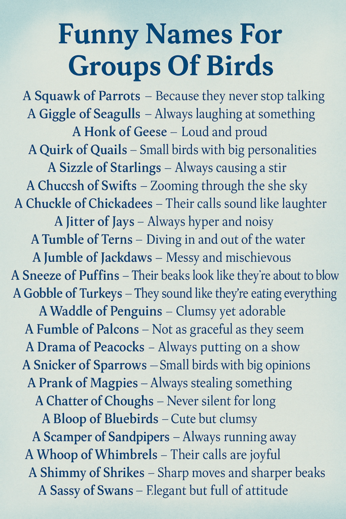 1000+ Creative and Funny Names For Groups Of Birds 