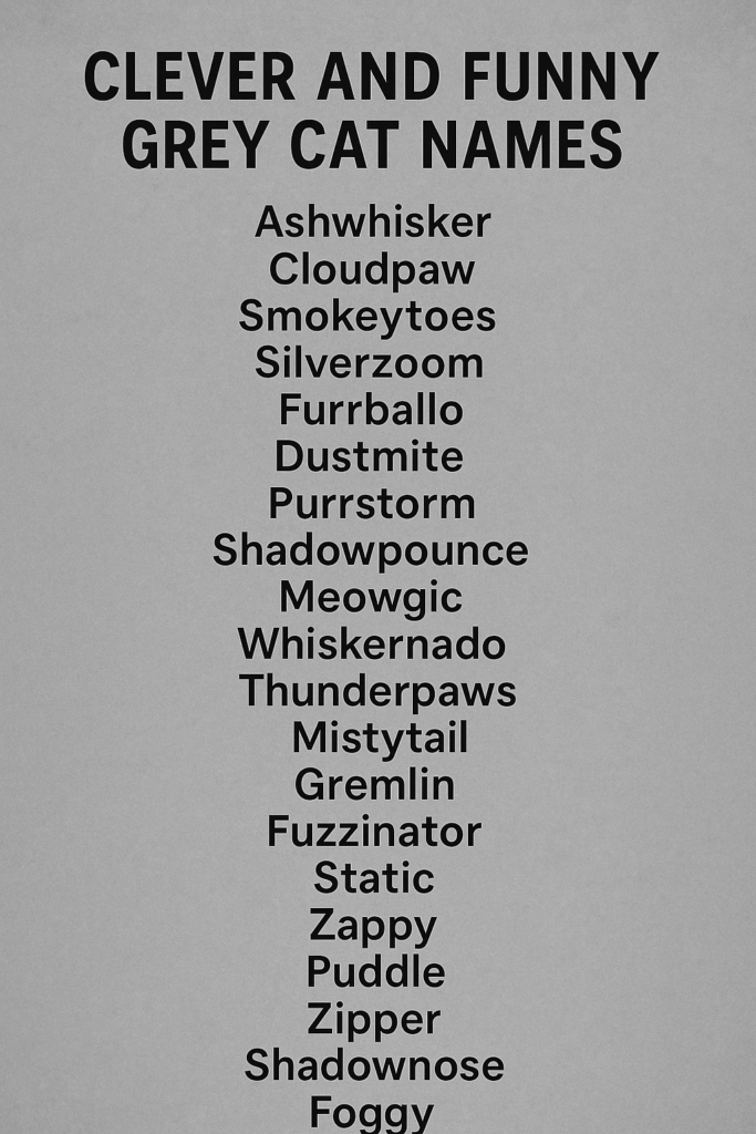 1000+ Clever and Funny Grey Cat Names