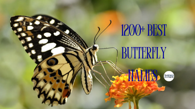1200+ Best Butterfly Names That Are Cute, Cool, and Unique 2025