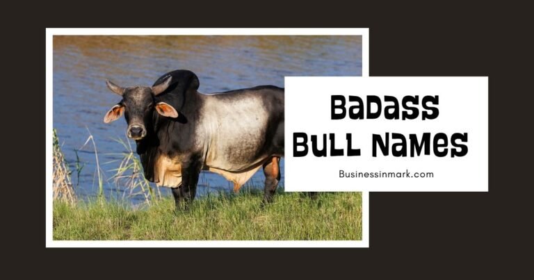 Cool And Badass Bull Names