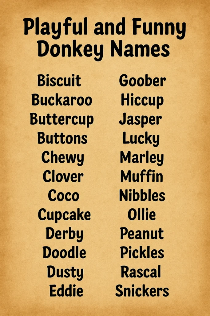 1000+ PlayFull And Funny Donkey Names
