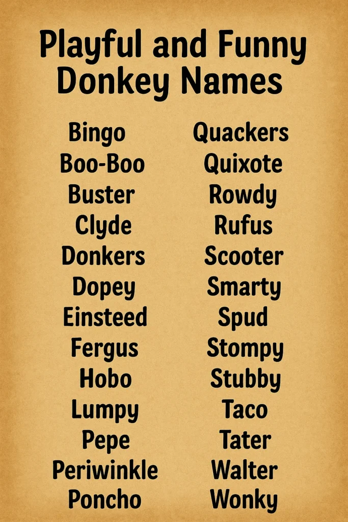 1000+ PlayFull And Funny Donkey Names