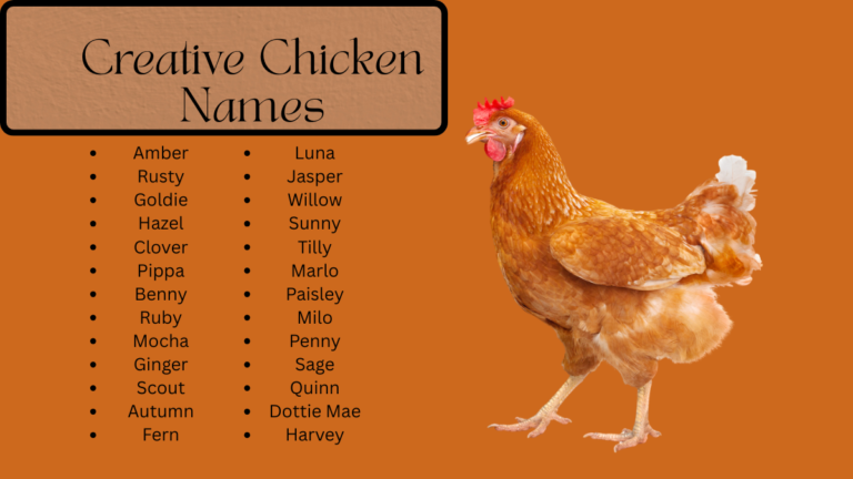 Creative Chicken Names: 1100+ Unique Ideas for Your Flock