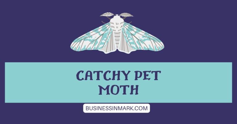Cute And Catchy Pet Moth Names