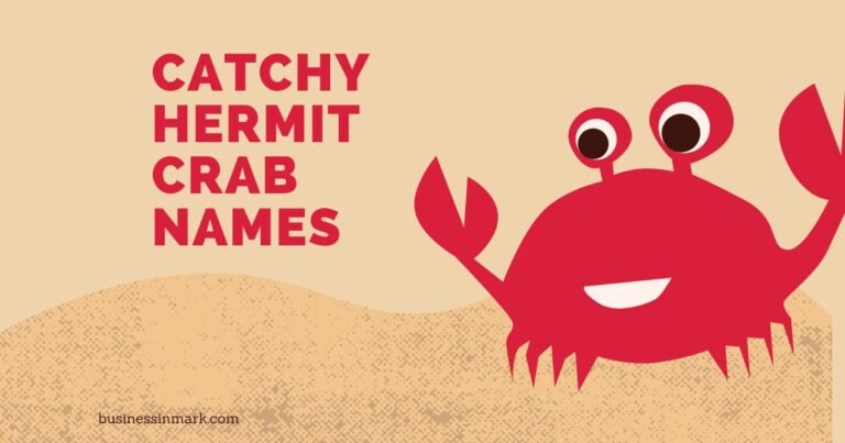 Catchy Hermit Crab Names