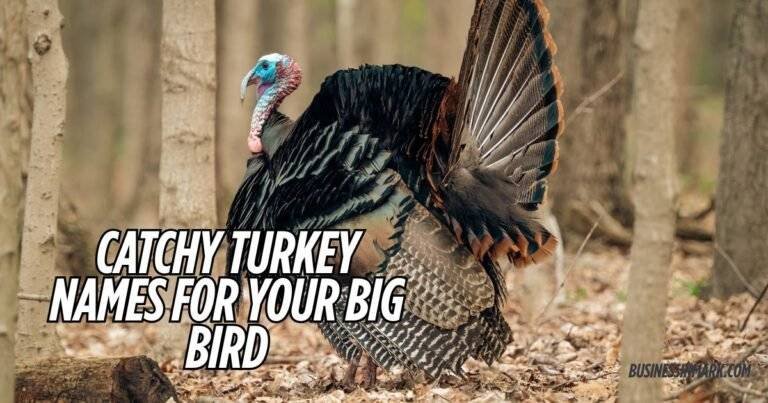 Catchy Turkey Names For Your Big Bird