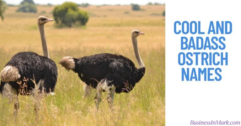 Cool And Badass Ostrich Names