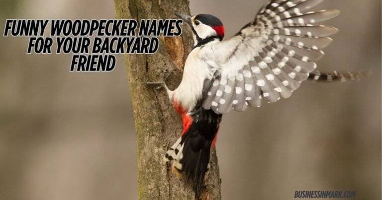Funny Woodpecker Names For Your Backyard Friend