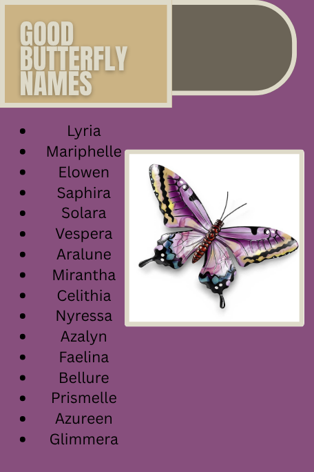 Good Butterfly Names