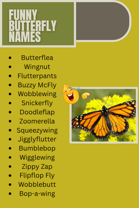 Funny Butterfly Names
