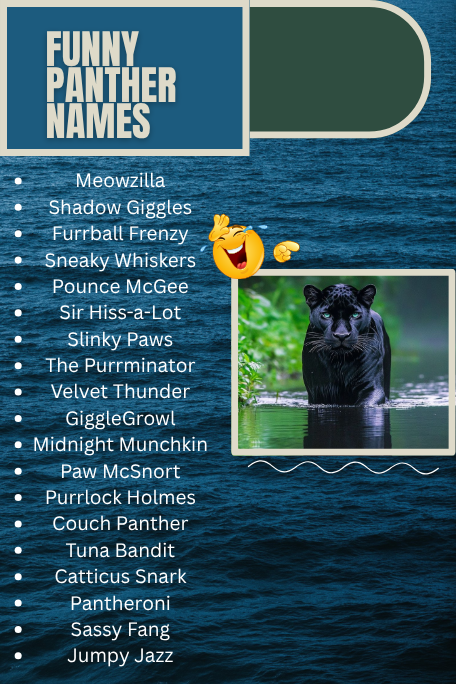 Funny Panther Names