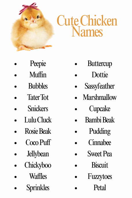 Cute Chicken Names