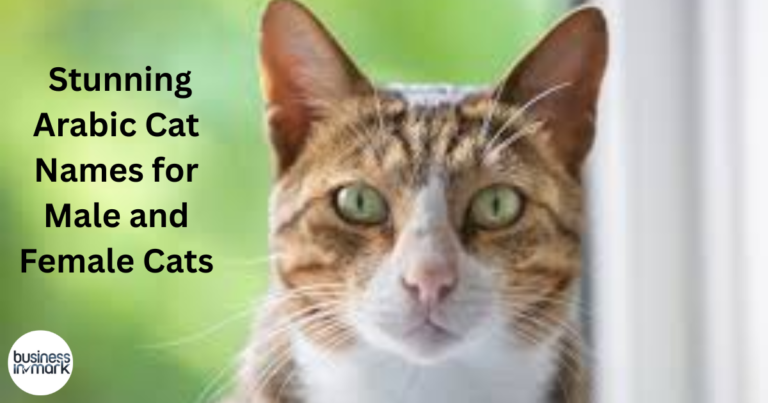 Stunning Arabic Cat Names for Male and Female Cats