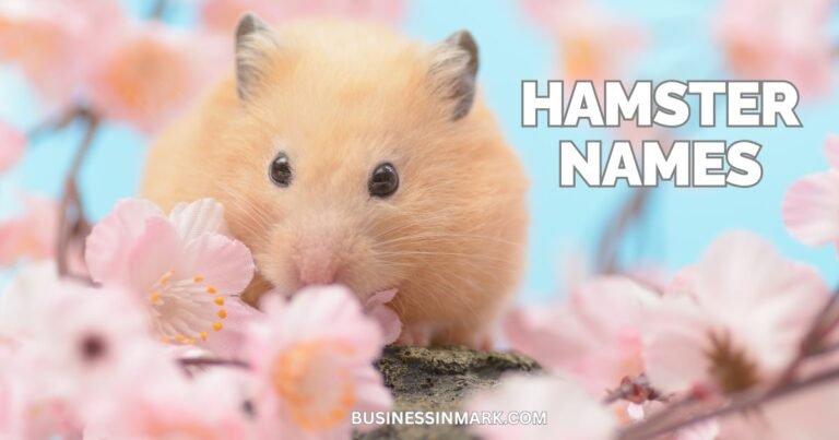Cute And Catchy Hamster Names