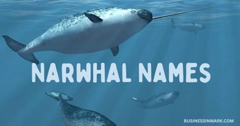 Cool And Catchy Narwhal Names