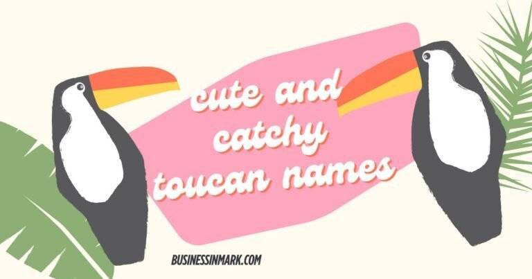 Cute And Catchy Toucan Names