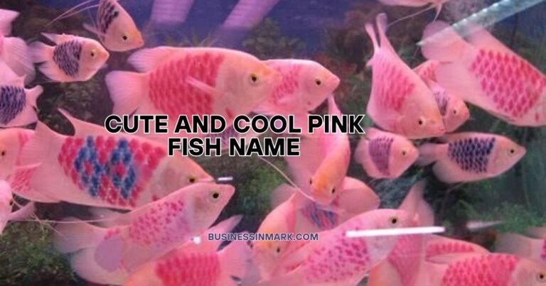 Cute And Catchy Pink Fish Names 2025